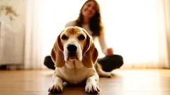 Vilken familjemedlem får mest kärlek från hunden – och varför?