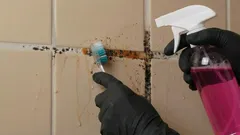 Så blir du av med mögel i kakelfogarna för gott – enkla och effektiva metoder