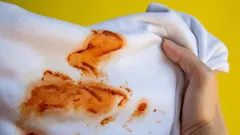 Så får du bort tomatfläckar på kläder – snabba och smarta knep