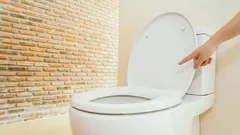 Varför du aldrig ska lämna toalettlocket öppet – kom ihåg detta för alltid
