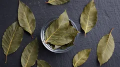 Lagerblad i badrummet: varför det rekommenderas och vilken effekt det har