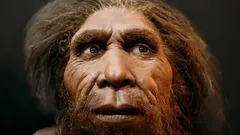 Neandertalarna dog inte ut: Ny forskning förändrar synen på människans evolution