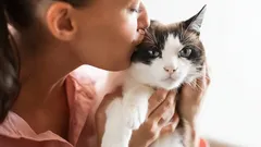 Gillar katter att bli pussade? Så vet du om de tycker om eller ogillar kyssar
