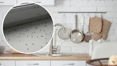 Bli av med bananflugor snabbt: enkla husmorsknep som verkligen fungerar