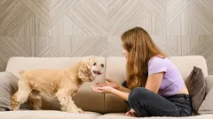 Hur du pratar med din hund så att den förstår dig: en vetenskaplig metod