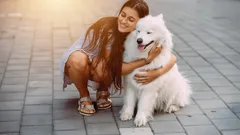 Vilka är de 5 mest kärleksfulla hundraserna enligt veterinärer?