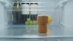 Vinpropp i kylskåpet: varför den behövs och varför det rekommenderas