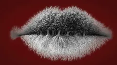 Vad ser du först i bilden? Testa om du är introvert, extrovert eller ambivert