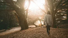 Myten om 10 000 steg: Hur många steg behöver du egentligen för hälsa och livslängd?